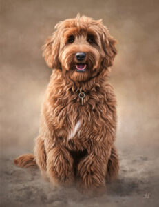 schilderij van hond Labradoodle